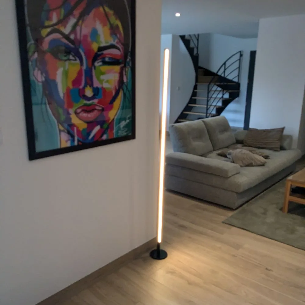 Lampadaire Halo Dimmable - Éclairage LED - Minimaliste pour Salon ou Bureau