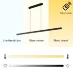 Suspension Design Jade - Métal | Éclairage Moderne & Élégant