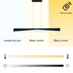 Lampe Suspendue Svala