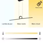 Suspension Odine - Luminaire LED Élégant pour Salon ou Chambre