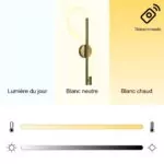 Applique Murale Loopea - Luminaire LED Courbé au Design Contemporain